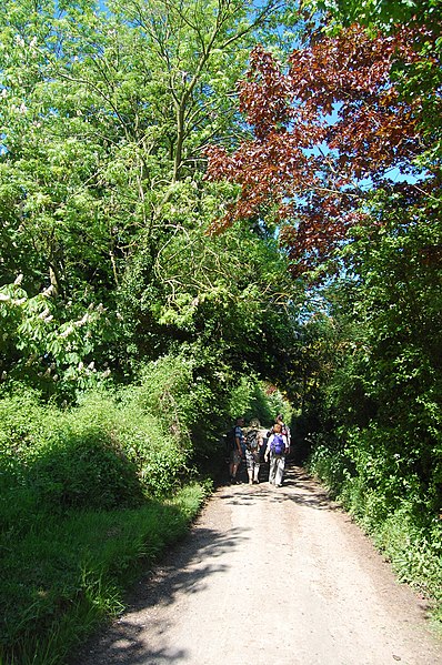 File:The Essex Way 40, at Pepper's Green - geograph.org.uk - 1881682.jpg