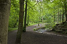 The path through Borsdane Wood The path through Borsdane Wood (geograph 2417498).jpg