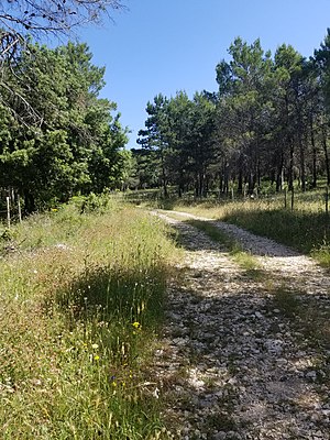 Trailhead from SP52b.jpg