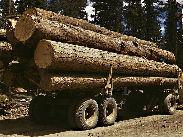 1942: Ponderosa pine logs from the Hines tract in the Malheur National Forest