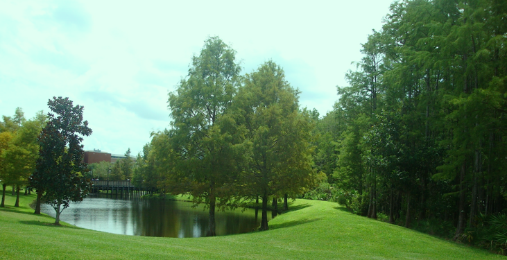 Natural pond at the University of Central Florida