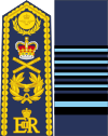 Yhdistynyt kuningaskunta-Air force-OF-10-collected.svg