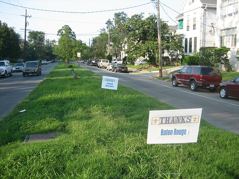 File:UptownAnniversaryThanksStmpBRAnRescue.jpg