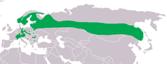 Mapa de distribuição da Glaucidium passerinum