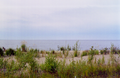 Slave Lake shoreline