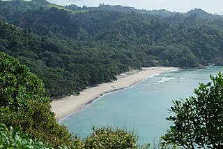 <span class="mw-page-title-main">Waiau, Bay of Plenty</span> Locality in the Bay of Plenty, New Zealand