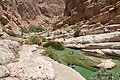 Wadi Tiwi, Oman