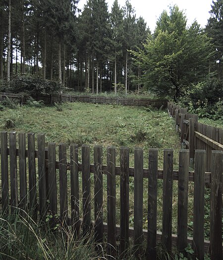 Waldfriedhof Nienstedt