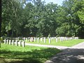 Waldfriedhof in Stuttgart, Blick auf das Fliegeropferfeld (Gräberfeld der Fliegeropfer des Zweiten Weltkrieges).