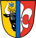 Coat of arms of the city of Ticino