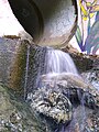 Water flowing out of a drainage pipe in Chapel Hill.jpg
