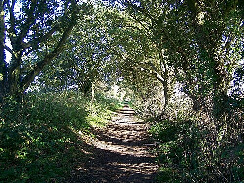 Weaver's Way, Norfolk, UK