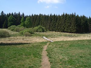 In Belgio, la passerella che porta alla roccia Weissen Stein