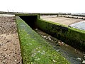 File:Westbrook outflow at Hampton on Sea Herne Bay.JPG