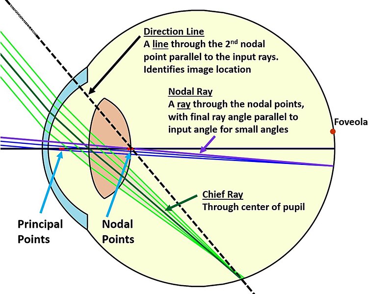 File:Wiki nodal eye.jpg