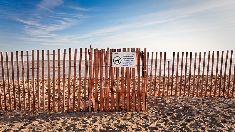 File:Winter fence on Woodbine beach.jpg