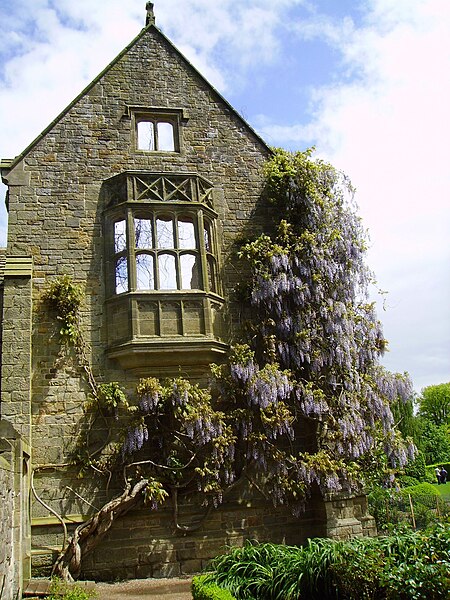 Tập_tin:Wisteria_at_Nymans_Gardens,_West_Sussex,_England_May_2006.JPG
