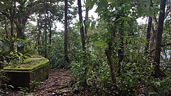 Remains of a World War II encampment above Utulei.
