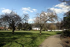 Londonda Wormholt Park, 2013 yil bahor (1) .JPG