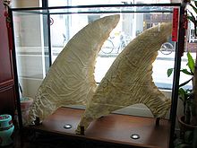 Shark fins on display in a pharmacy in Yokohama, Japan Yokohama Chinese Medicine Shark fin large.jpg