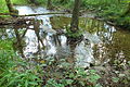 English: Zelenský luh, nature reserve in the Šumava mountains, the Czech Republic. Čeština: Zelenský luh, přírodní rezervace v CHKO Šumava.