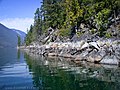 '10 high water marks of times past, very high, near the Molly Hughes mine - panoramio.jpg