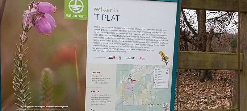 File:'t Plat Natuurpunt.jpg