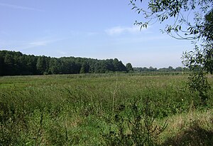 Konstancin-Jeziorna: Położenie, Środowisko naturalne, Historia