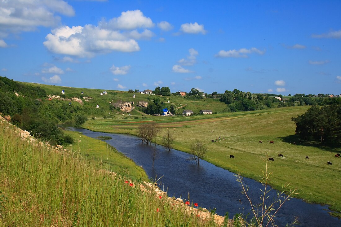 Strypa (suba sa Okraniya, Ternopil's'ka Oblast')