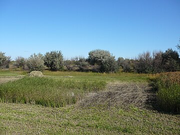 Саратовка. Саратовка Армения. Село Саратовка Армения. Саратовка деревня в Армении. Сухая Саратовка река.