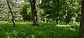Старий парк в м. Тернопіль.jpg