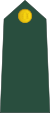 00-Slovenian Army-PVT.svg