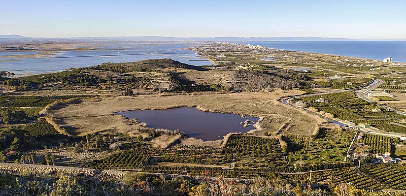 File:1. Llacuna de Sant Llorenç (Parc Natural de l'Albufera, País Valencià).jpg