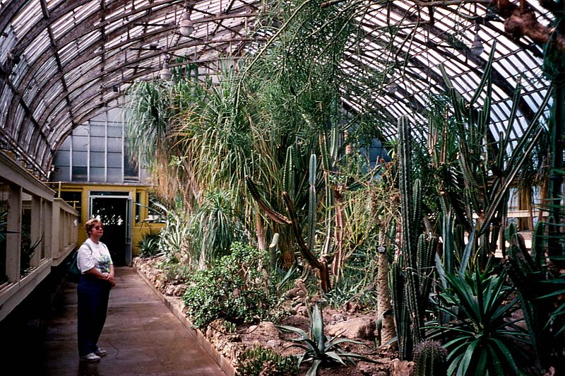 File:19970615 03 Garfield Park Conservatory (5864820961).jpg