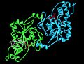 Thumbnail for Carbohydrate sulfotransferase