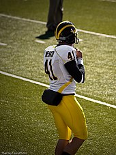 Zoltan Mesko (American football), American Football Database