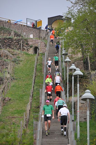 File:2012-04-21 Radebeul Spitzhaustreppenlauf 4.JPG