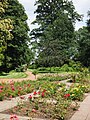 Botanischer Garten, Blick auf den Rosengarten