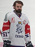 Pienoiskuva sivulle Roman Horák (jääkiekkoilija, 1991)