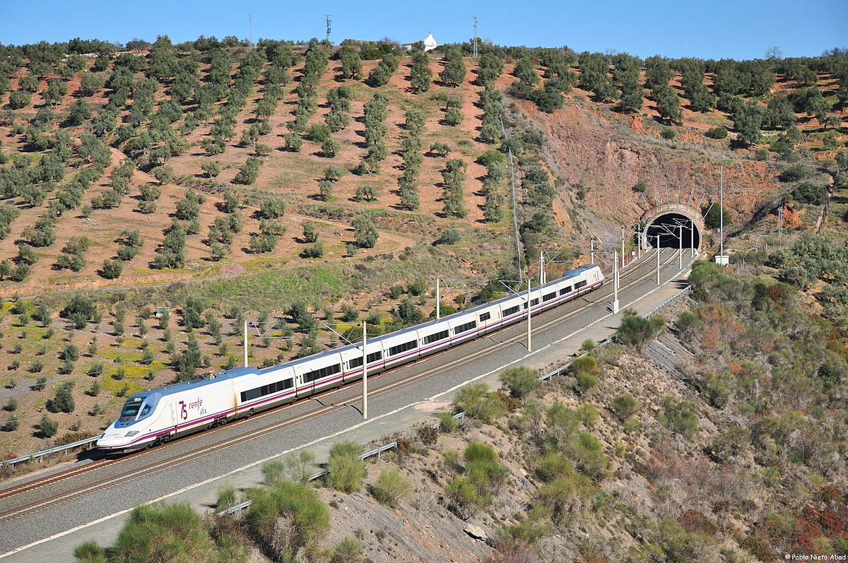 Cuanto cuesta el ave de alicante a madrid