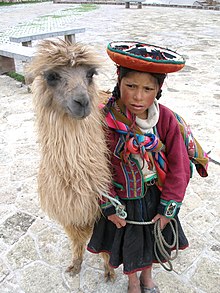 A traditionally dressed Quechua girl with a llama in Cusco, Peru A Quechua girl and her Llama.jpg