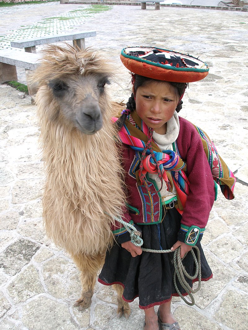 جيوان اللاما 800px-A_Quechua_girl_and_her_Llama