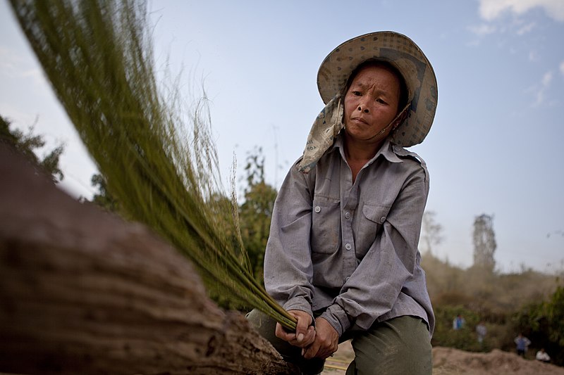 File:A farmer from Houangmeuang village (10661785895).jpg