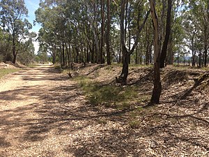 Abandoned Dawson Railway Station, Heyfield.jpg