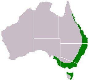 Az Acacia-melanoxylon-range-map.png kép leírása.