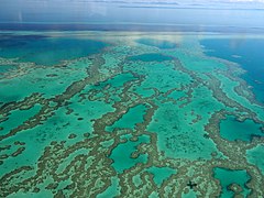 Great Barrier Reef in Australia, an endangered natural wonder.