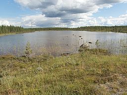 Akkatjärnen sedd från vägen.