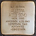 Allegra Acco Semo-5106-Peralta.jpg