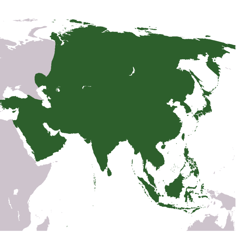 Asia