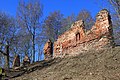 Ruine der Burg Hochrosen